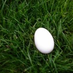 První bílé vajíčko